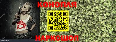 Альфа ПВП Гусев
