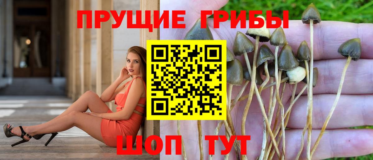 Новочебоксарск  Галлюциногенные грибы мухоморы  Вход с VPN 